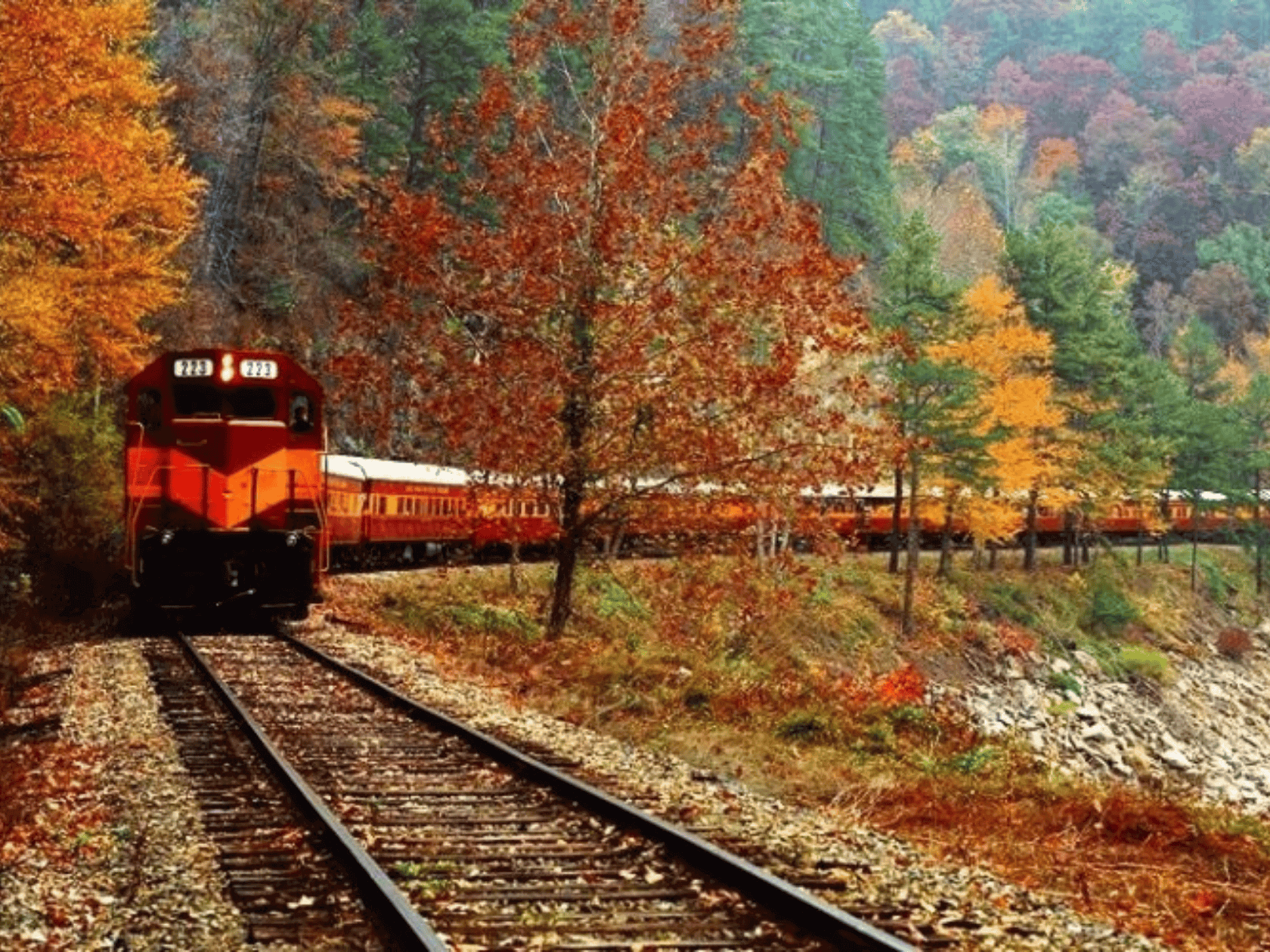 Classic train pulling carts of people through scenic fall forest