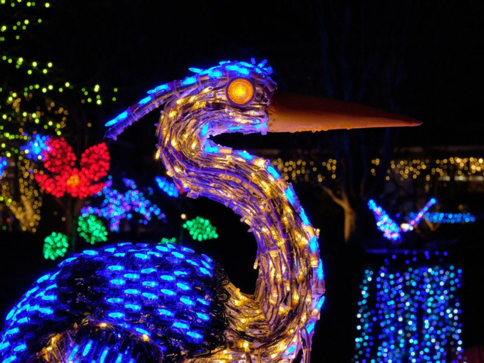 A crane made out of holiday string lights